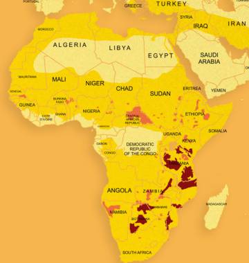 En amarillo, el territorio que ocupaba el león africano históricamente. En naranja, la zona que ocupa en la actualidad. En marrón, sus bastiones (zonas con más de 500 adultos).