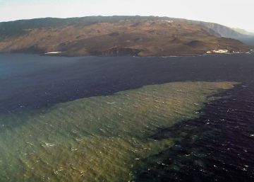 La muerte y resurrección de la vida marina tras las erupciones en El Hierro La muerte y resurrección de la vida marina tras las erupciones en El Hierro