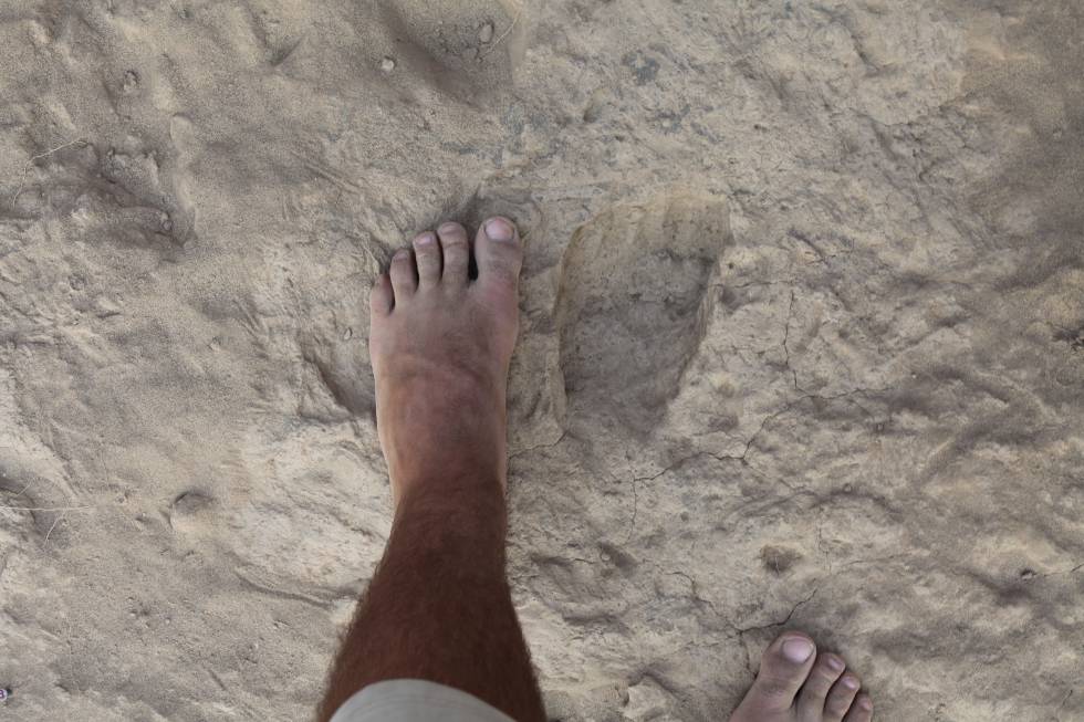 Un pie comparado con una huella fósil de 'Homo erectus'.