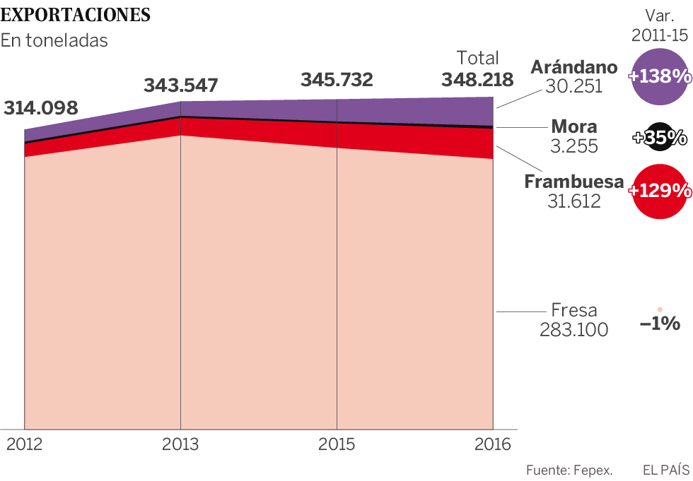 Exportaciones de frutos rojos en España: arándanos, fresas, moras y frambuesas