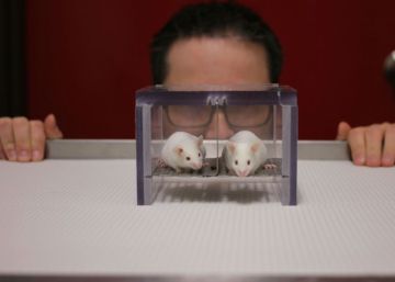 Ciencia solo para machos