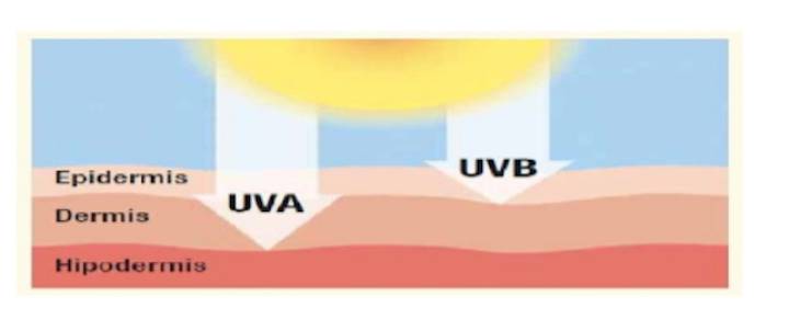 Cómo nos tenemos que cuidar del sol en verano Cómo nos tenemos que cuidar del sol en verano