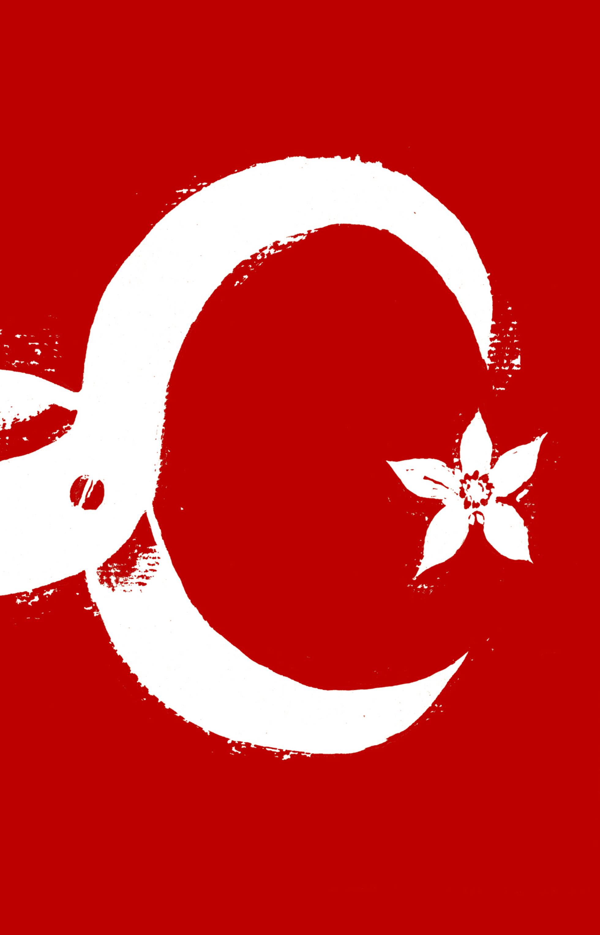 La regresión turca La regresión turca