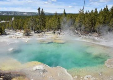 La vida surgió en aguas calientes y ricas en hierro La vida surgió en aguas calientes y ricas en hierro
