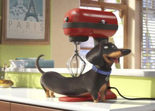 ¿Qué hace de verdad tu mascota cuando la dejas sola en casa?