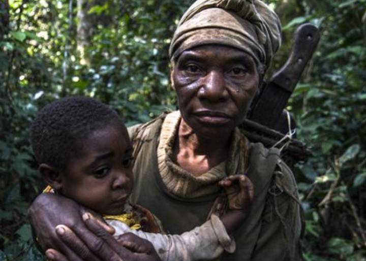 Medio siglo añorando la selva Medio siglo añorando la selva
