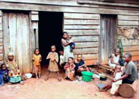 Los últimos bagyelis