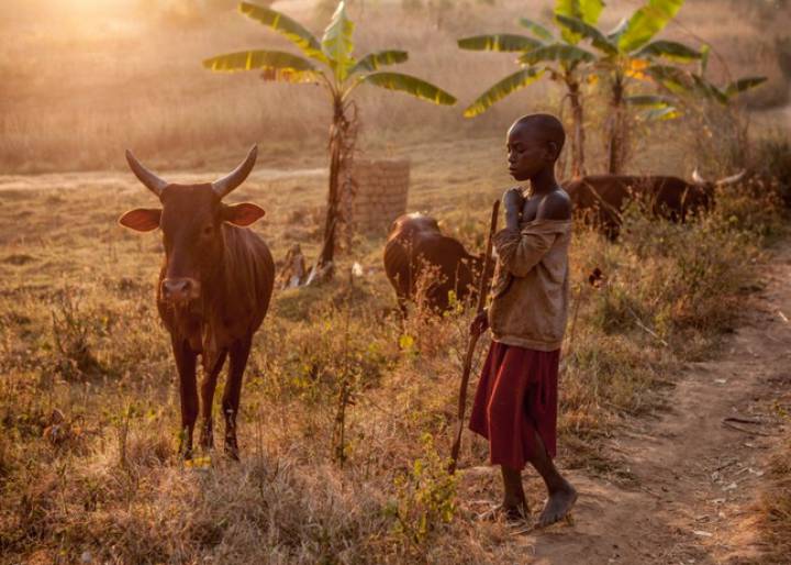 Batwa, los míseros entre los pobres Batwa, los míseros entre los pobres