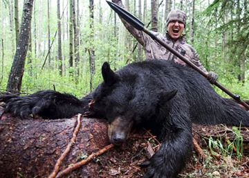 Polémica por la caza de un oso con una lanza Polémica por la caza de un oso con una lanza