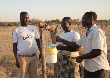 Agricultores contra la enésima plaga de Malawi