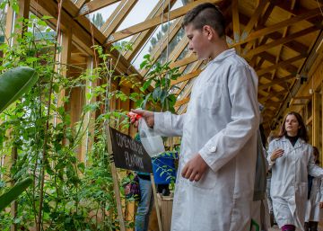 Los alumnos cuidan el huerto orgánico que abastece de frutas y verduras al comedor escolar. Los alumnos cuidan el huerto orgánico que abastece de frutas y verduras al comedor escolar.