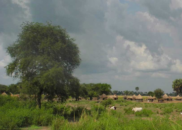 La Unión Europea complice de la violación de derechos humanos en Etiopía