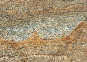El desglaç de l’Àrtic desenterra el fòssil més antic de la Terra