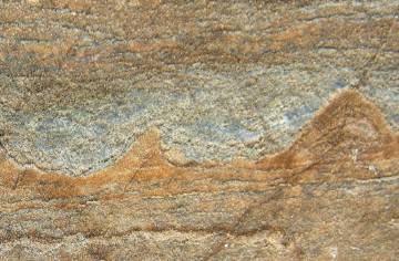 Los fósiles hallados en las rocas de Groenlandia