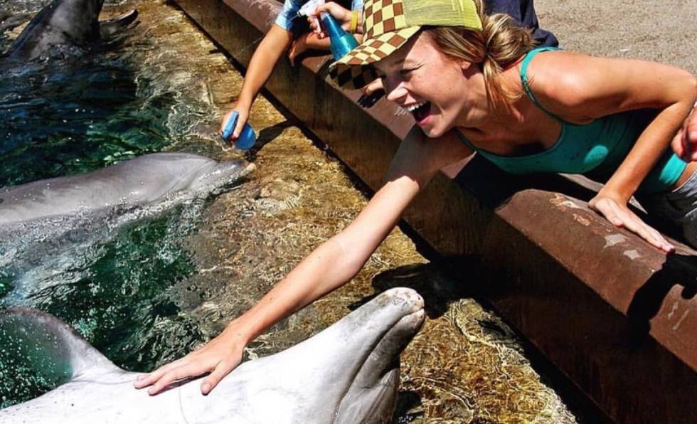 Brie Larson acaricia un delfín en 2004.