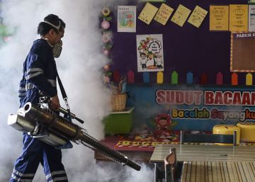 La OMS amplía a seis meses el periodo de sexo seguro tras visitar zonas con zika La OMS amplía a seis meses el periodo de sexo seguro tras visitar zonas con zika