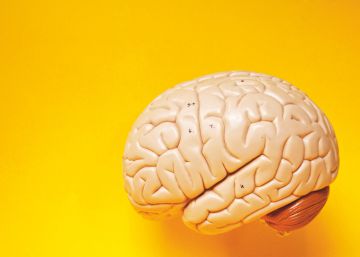 Cinco claves para mantener el cerebro joven sea cual sea su edad