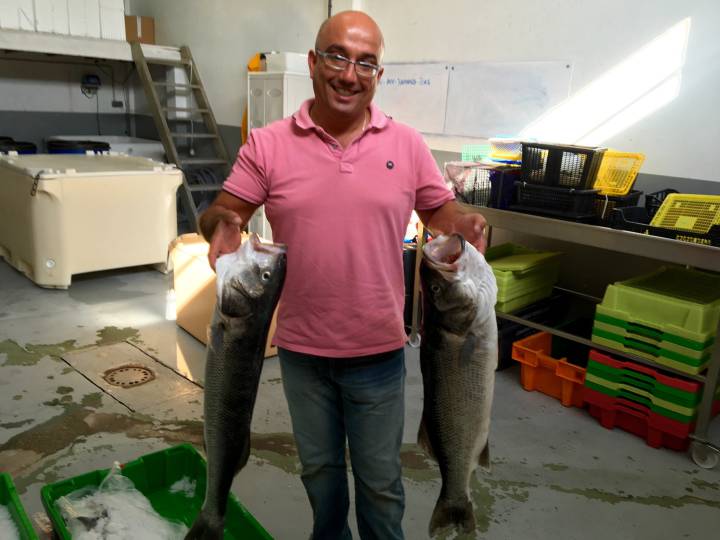 Roberto Prieto con dos espléndidas lubinas. Roberto Prieto con dos espléndidas lubinas.