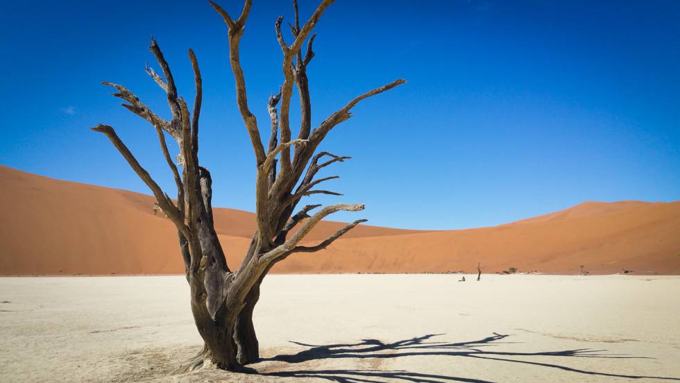 Deadvlei
