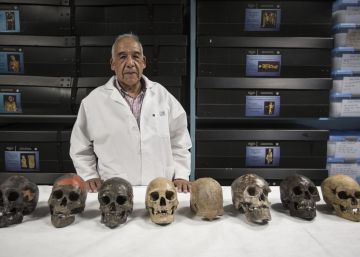 El antropólogo José Jiménez frente a ocho de los cráneos más antiguos de América.  El antropólogo José Jiménez frente a ocho de los cráneos más antiguos de América.