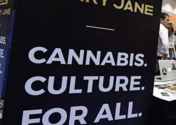 The entrepreneurs planting the seeds to make a million from legal marijuana The entrepreneurs planting the seeds to make a million from legal marijuana