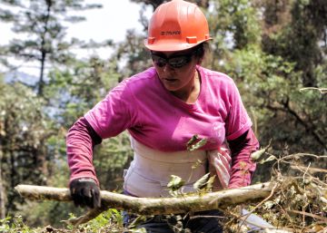 Comunidades que viven con y del bosque Comunidades que viven con y del bosque