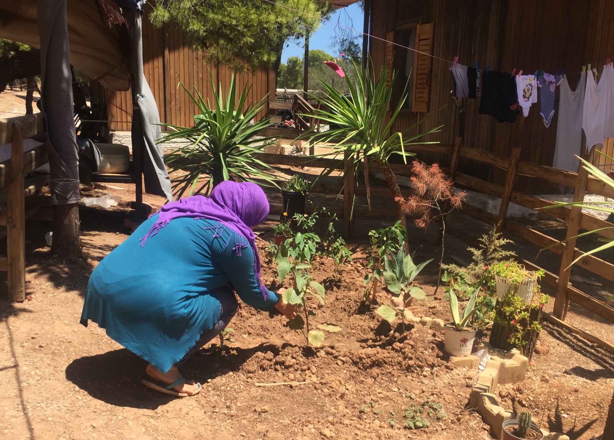 Hasna Khalil en el pequeño huerto que ha plantado en el campo de Lavrio Hasna Khalil en el pequeño huerto que ha plantado en el campo de Lavrio