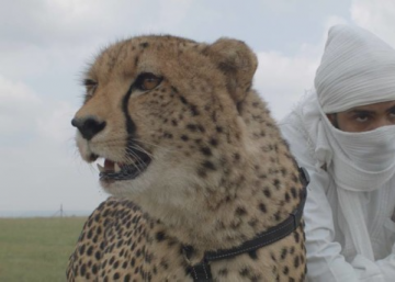 Compromiso y música (179): Bailando con guepardos