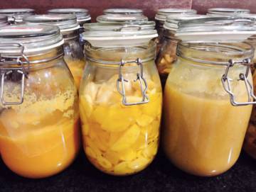 Mario Sandoval, la kombucha y los nuevos fermentados