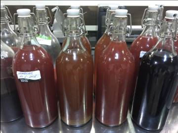 Mario Sandoval, la kombucha y los nuevos fermentados