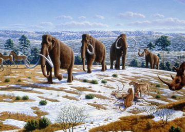 Una reconstrucción del clima de los dos últimos millones de años Una reconstrucción del clima de los dos últimos millones de años