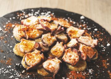 A tour of 15 Spanish cities through their most typical dishes A tour of 15 Spanish cities through their most typical dishes