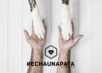 La campaña que agita las redes y ayuda a mascotas abandonadas