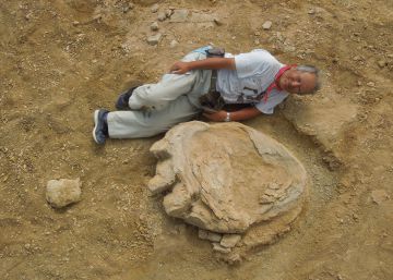 Encontrada una de las huellas de dinosaurio más grandes del mundo Encontrada una de las huellas de dinosaurio más grandes del mundo