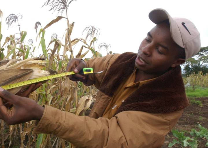 Los jóvenes agricultores, la piedra angular de los ODS Los jóvenes agricultores, la piedra angular de los ODS