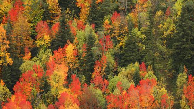 Diez paisajes fabulosos para el otoño