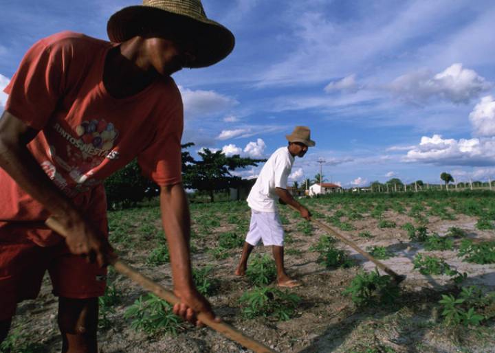 ¿Y a nosotros quién nos pregunta? ¿Y a nosotros quién nos pregunta?