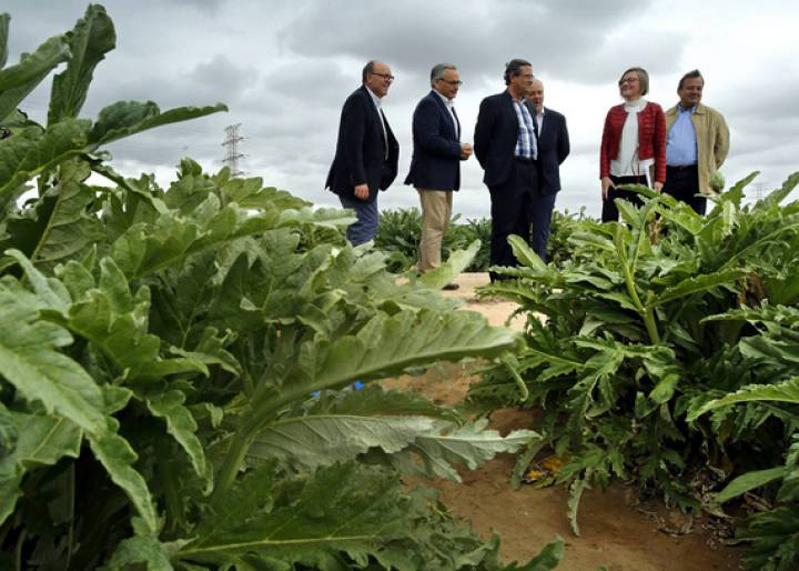 La Comunidad Valenciana impedirá a los municipios crecer sobre la huerta La Comunidad Valenciana impedirá a los municipios crecer sobre la huerta