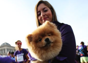 Perrotón 2016