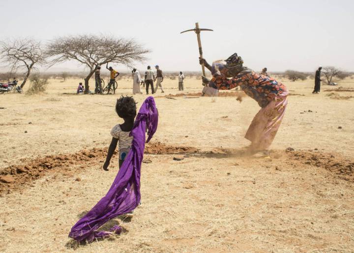 La escolarización de las niñas como motor de desarrollo La escolarización de las niñas como motor de desarrollo