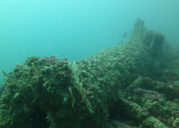 Así se resolvió el enigma del buque perdido de la Batalla de Trafalgar Así se resolvió el enigma del buque perdido de la Batalla de Trafalgar