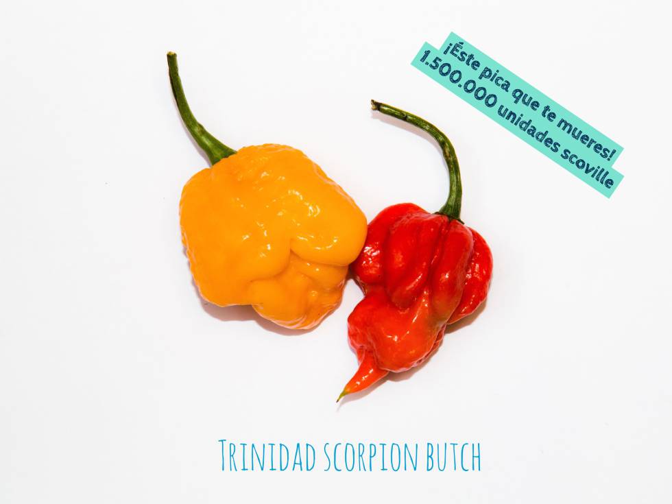 Oda al picante, la alegría de la cocina tradicional