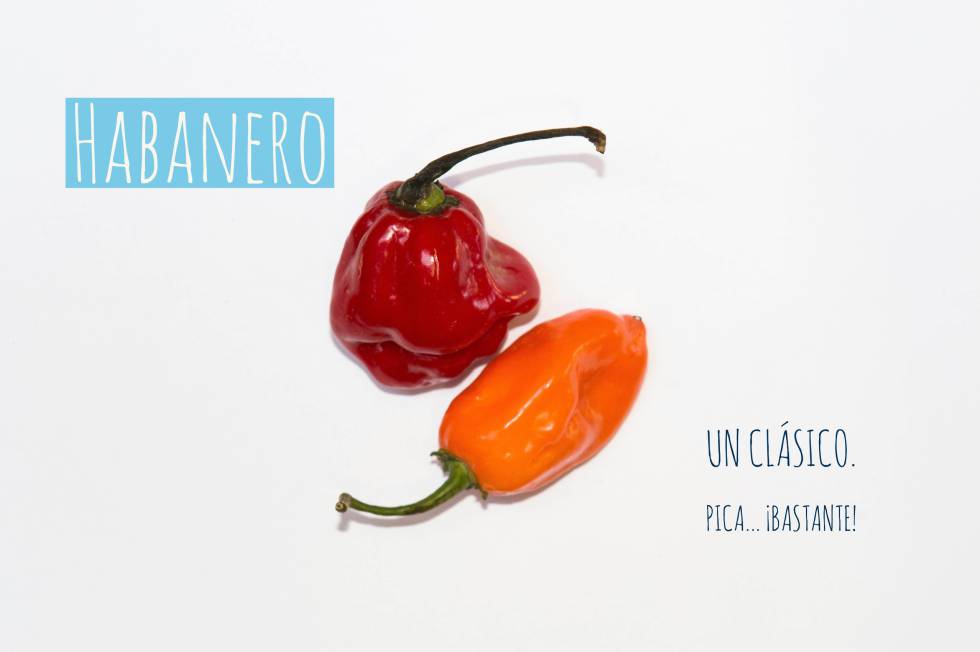 Oda al picante, la alegría de la cocina tradicional