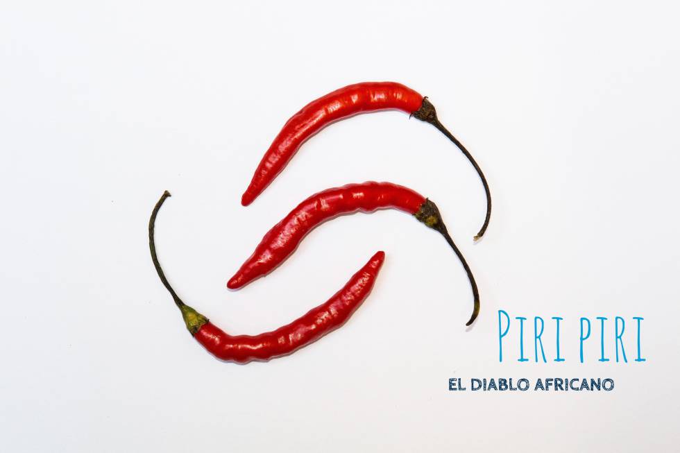 Oda al picante, la alegría de la cocina tradicional