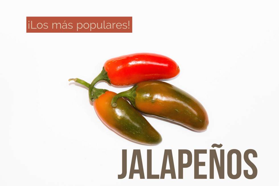 Oda al picante, la alegría de la cocina tradicional
