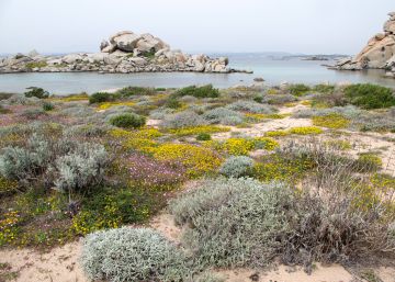El sur de España se desertizará si no se reducen las emisiones El sur de España se desertizará si no se reducen las emisiones