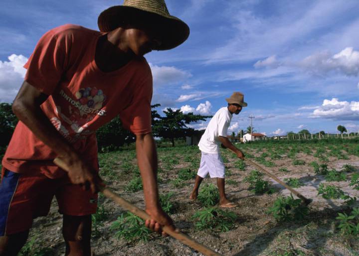 ¿Y a nosotros quién nos pregunta? ¿Y a nosotros quién nos pregunta?