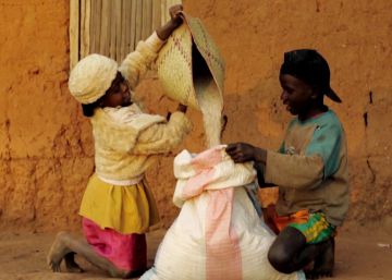 Los pequeños arroceros de Soavinarivo