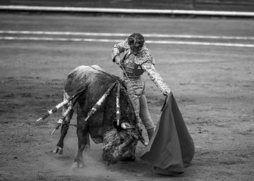 La sangre de José Tomás