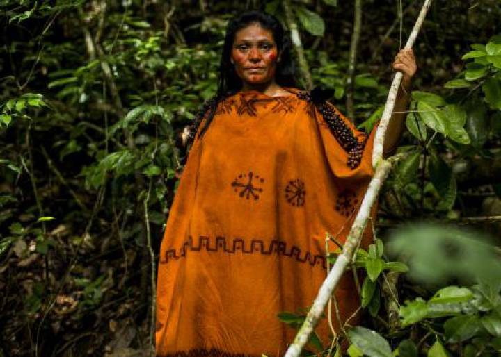 Los héroes cotidianos del medio ambiente Los héroes cotidianos del medio ambiente